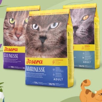 Kakadu Karma dla kota josera oferta