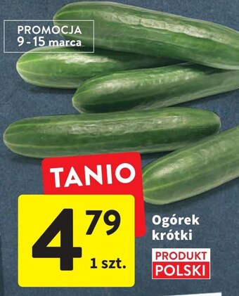 Intermarche Ogórek oferta