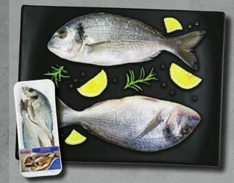 Netto Dorada sona oferta