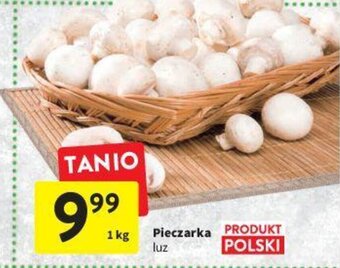 Intermarche Pieczarka 1 kg oferta