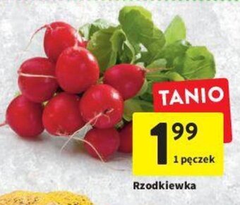 Intermarche Rzodkiewka 1 pęczek oferta