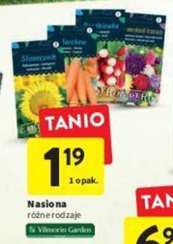 Intermarche Nasiona oferta