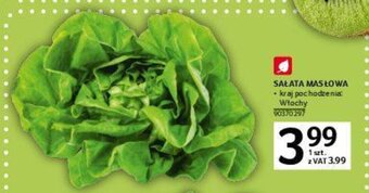 Selgros Sałata masłowa oferta
