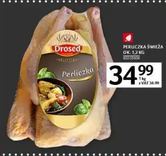 Selgros Drosed Perliczka świeża 1,2kg oferta