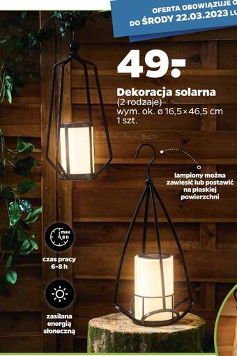 Netto Dekoracja solarna oferta
