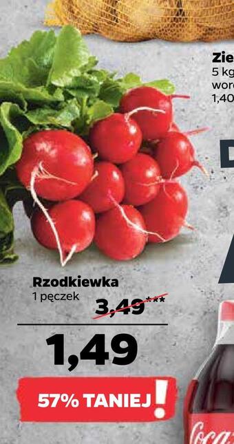 Netto Rzodkiewka oferta