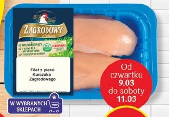 Delikatesy Centrum Filet z kurczaka oferta