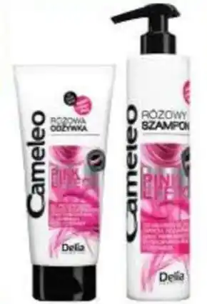 Drogerie Laboo Szampon cameleo oferta