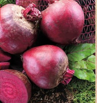 Delikatesy Centrum Burak oferta