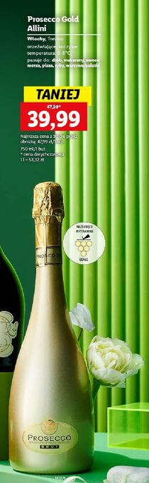 Lidl Wino allini prosecco oferta