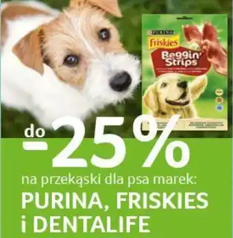 Selgros Purina, Friskies i Dentalife Wszystkie przekąski dla psa oferta