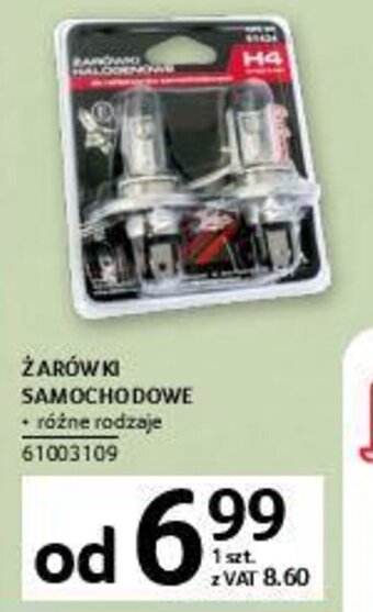 Selgros Żarówki samochodowe oferta
