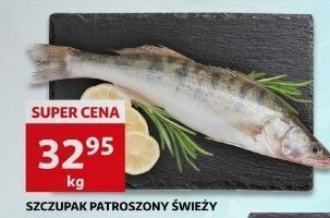 Szczupak patroszony