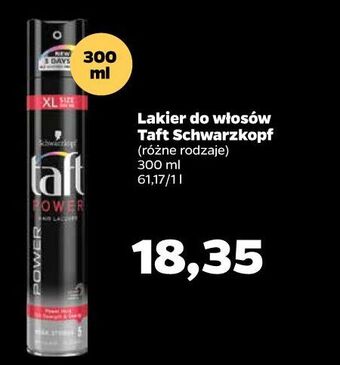Netto Lakier do włosów taft power oferta