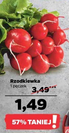 Netto Rzodkiewka oferta