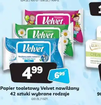 Delfin Papier toaletowy Velvet nawilżany 42 szt. oferta