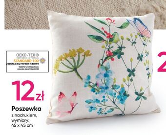 Pepco Poszewka 45 x cm oferta