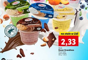 Lidl Deser waniliowy pilos grandioso oferta