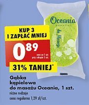 Biedronka Gąbka do masażu oceania oferta