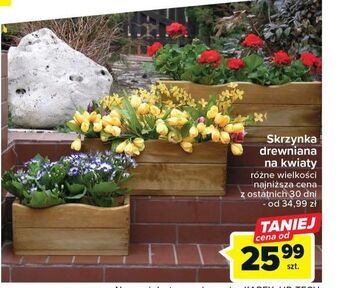 Carrefour Skrzynka drewniana oferta