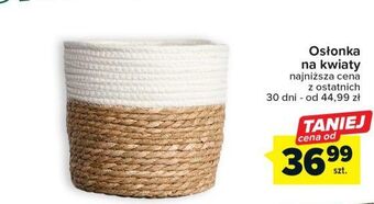 Carrefour Osłonka oferta