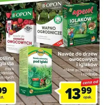 Carrefour Nawóz mineralny pod iglaki planta (ogrodowe) oferta