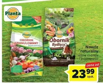 Carrefour Obornik granulowany naturalny planta (ogrodowe) oferta