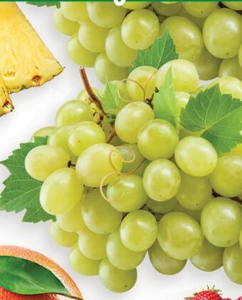 SPAR mini Winogrona oferta