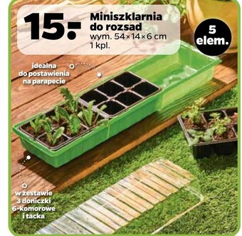 Netto Szklarnia oferta