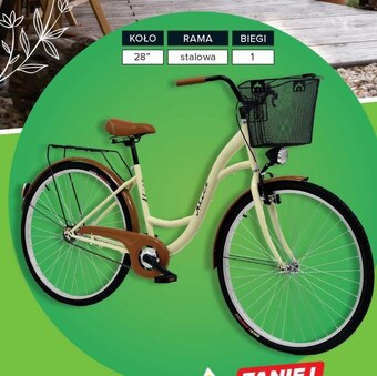 Carrefour Rower miejski oferta
