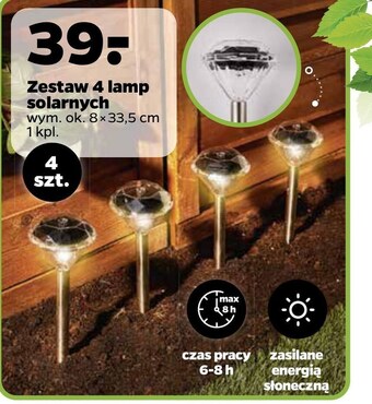 Netto Zestaw lampek solarnych oferta