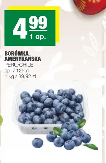 Borówka amerykańska opak. 125 g