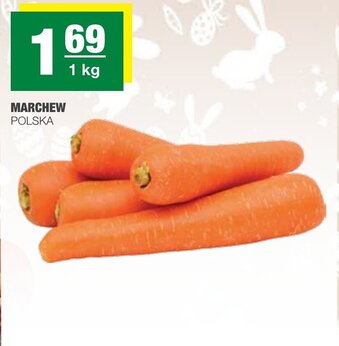 Spar Marchew 1kg oferta