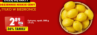 Biedronka Cytryna 500g oferta