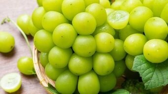 ALDI Winogrona zielone bezpestkowe oferta
