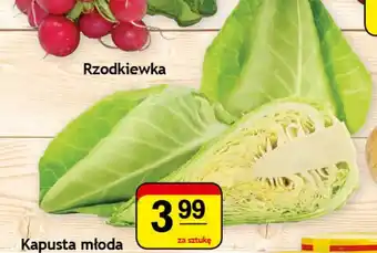 Gram Market Kapusta młoda 1sztuka oferta