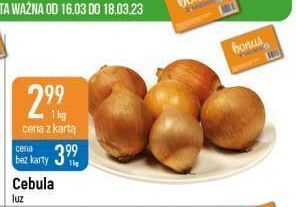 E.Leclerc Cebula oferta