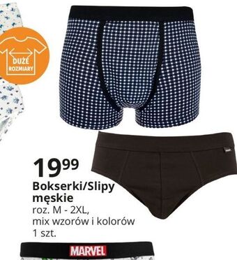 E.Leclerc Slipy męskie m-2xl oferta