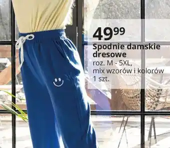 E.Leclerc Spodnie dresowe damskie m-5xl oferta