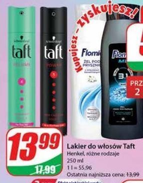 Dino Lakier do włosów taft power oferta