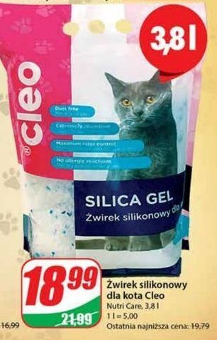Dino Żwirek silikonowy dla kota cleo oferta