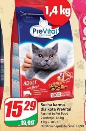 Dino Karma dla kota z wołowina prevital oferta