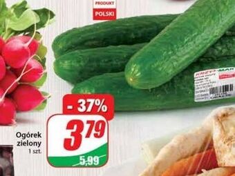 Dino Ogórek zielony oferta