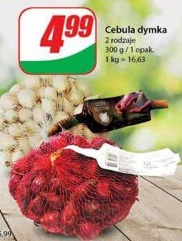 Dino Cebula dymka oferta