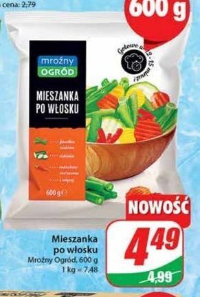 Dino Mieszanka po włosku mroźny ogród oferta