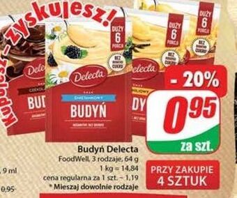 Dino Budyń śmietankowy delecta oferta