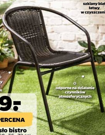 Netto Krzesło oferta