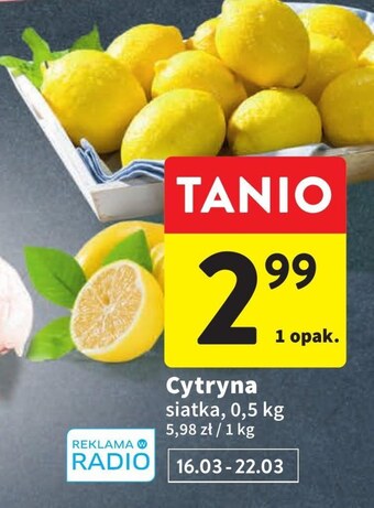 Intermarche Cytryna oferta