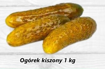 Społem Ogórki kiszone oferta