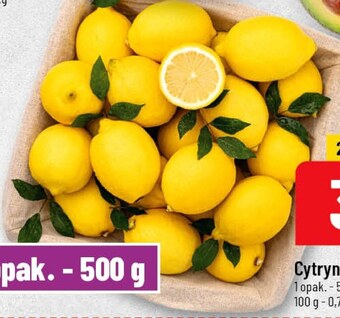 Polomarket Cytryna oferta